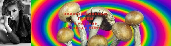 герыч Протвино