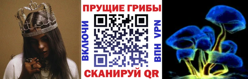 купить   ОМГ ОМГ зеркало  Галлюциногенные грибы Cubensis  Лесосибирск 