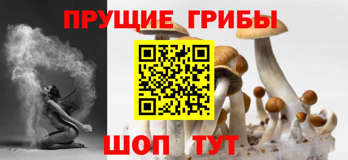 Галлюциногенные грибы ЛСД  Вход с VPN  Лесосибирск 
