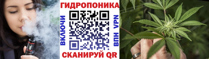 OMG зеркало  Лесосибирск  Бошки Шишки MAZAR  наркота 